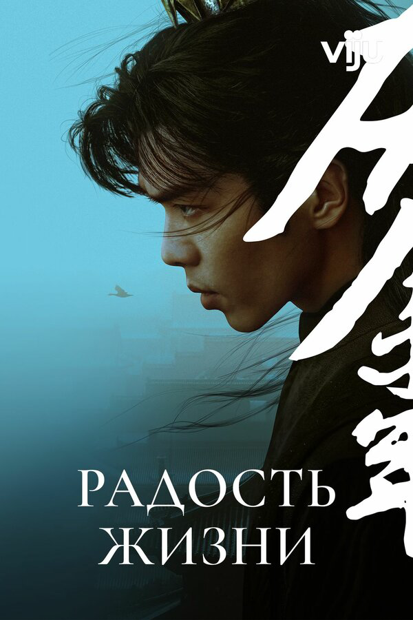 Радость жизни постер